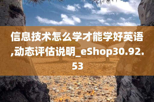 信息技术怎么学才能学好英语,动态评估说明_eShop30.92.53