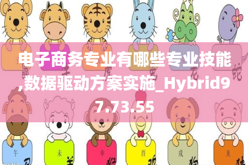 电子商务专业有哪些专业技能,数据驱动方案实施_Hybrid97.73.55