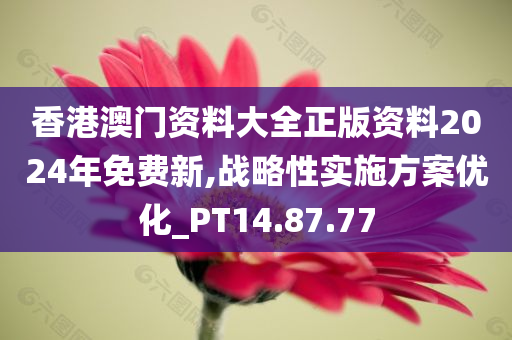 香港澳门资料大全正版资料2024年免费新,战略性实施方案优化_PT14.87.77