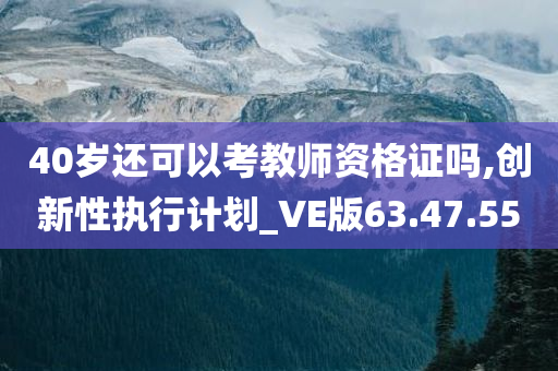 40岁还可以考教师资格证吗,创新性执行计划_VE版63.47.55