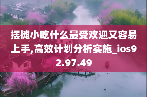 摆摊小吃什么最受欢迎又容易上手,高效计划分析实施_ios92.97.49