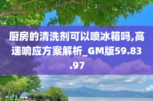 厨房的清洗剂可以喷冰箱吗,高速响应方案解析_GM版59.83.97