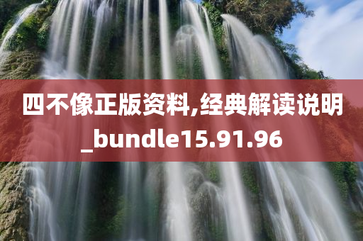 四不像正版资料,经典解读说明_bundle15.91.96