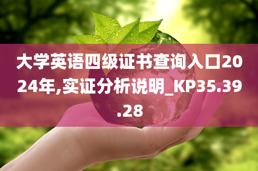 大学英语四级证书查询入口2024年,实证分析说明_KP35.39.28