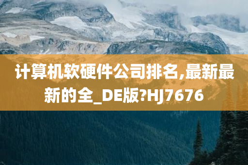 计算机软硬件公司排名,最新最新的全_DE版?HJ7676