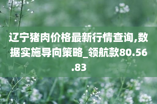 辽宁猪肉价格最新行情查询,数据实施导向策略_领航款80.56.83