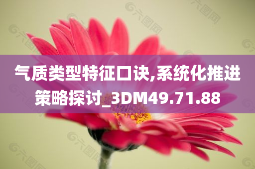 气质类型特征口诀,系统化推进策略探讨_3DM49.71.88