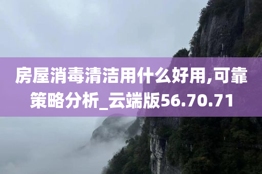 房屋消毒清洁用什么好用,可靠策略分析_云端版56.70.71