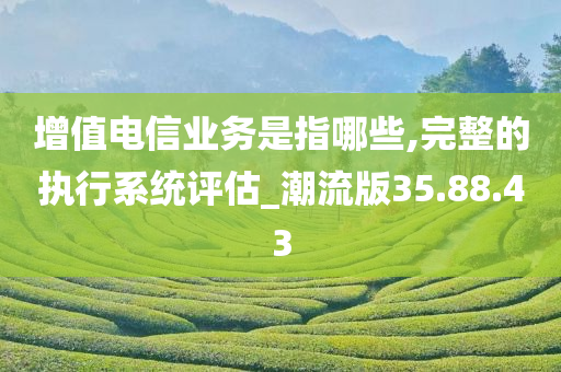 增值电信业务是指哪些,完整的执行系统评估_潮流版35.88.43