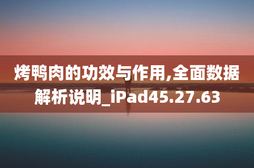 烤鸭肉的功效与作用,全面数据解析说明_iPad45.27.63