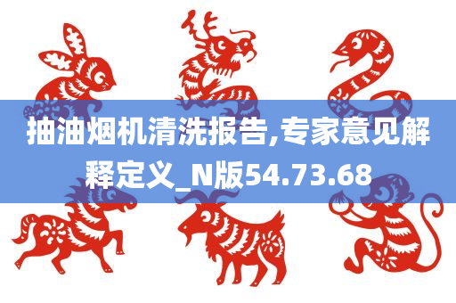 抽油烟机清洗报告,专家意见解释定义_N版54.73.68