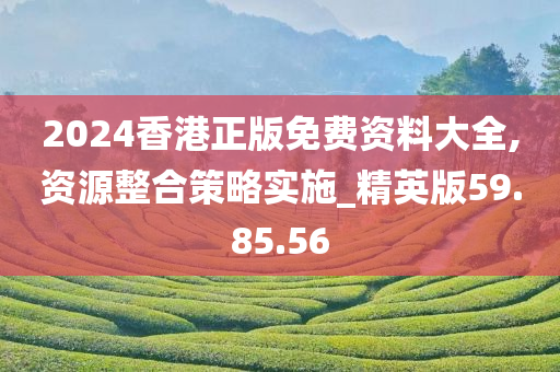 2024香港正版免费资料大全,资源整合策略实施_精英版59.85.56