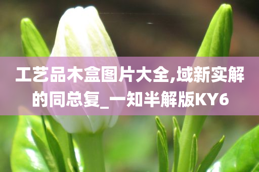 工艺品木盒图片大全,域新实解的同总复_一知半解版KY6