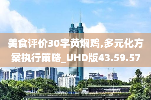 美食评价30字黄焖鸡,多元化方案执行策略_UHD版43.59.57