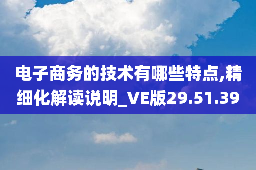 电子商务的技术有哪些特点,精细化解读说明_VE版29.51.39