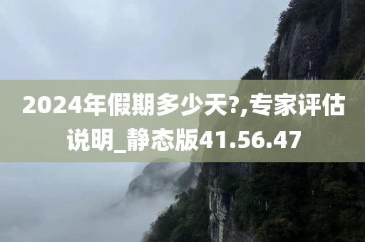 2024年假期多少天?,专家评估说明_静态版41.56.47