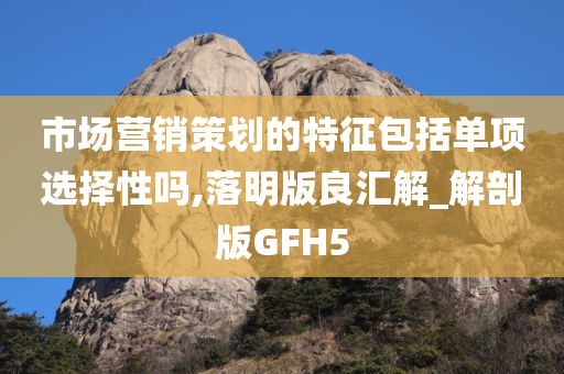 市场营销策划的特征包括单项选择性吗,落明版良汇解_解剖版GFH5