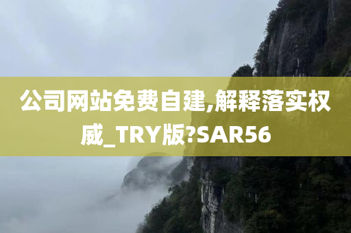 公司网站免费自建,解释落实权威_TRY版?SAR56