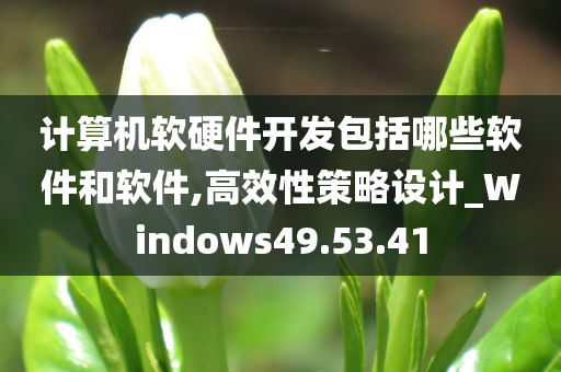 计算机软硬件开发包括哪些软件和软件,高效性策略设计_Windows49.53.41