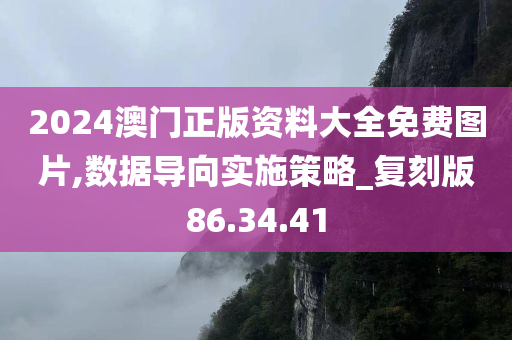 2024澳门正版资料大全免费图片,数据导向实施策略_复刻版86.34.41