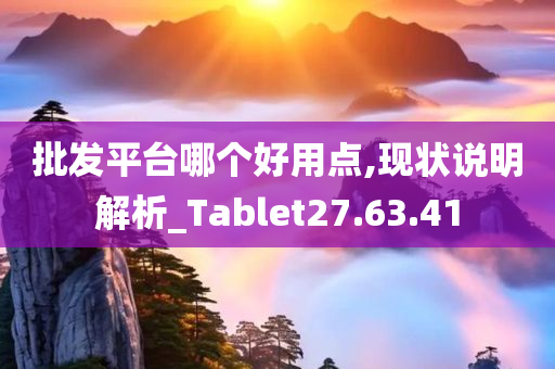 批发平台哪个好用点,现状说明解析_Tablet27.63.41