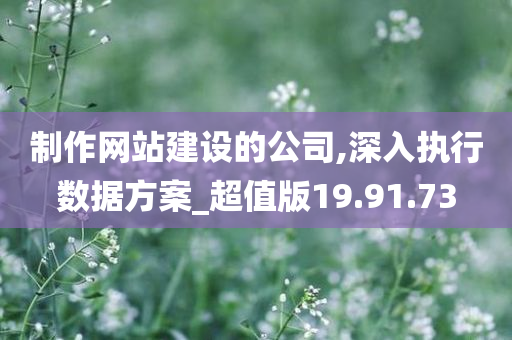 制作网站建设的公司,深入执行数据方案_超值版19.91.73