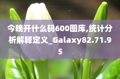 今晚开什么码600图库,统计分析解释定义_Galaxy82.71.95