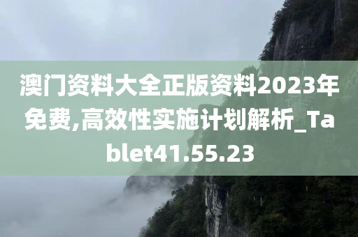 澳门资料大全正版资料2023年免费,高效性实施计划解析_Tablet41.55.23