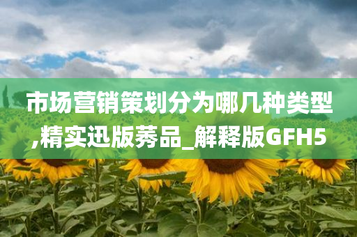 市场营销策划分为哪几种类型,精实迅版莠品_解释版GFH5