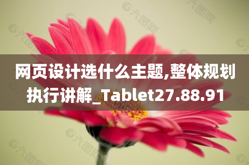 网页设计选什么主题,整体规划执行讲解_Tablet27.88.91