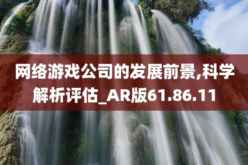 网络游戏公司的发展前景,科学解析评估_AR版61.86.11