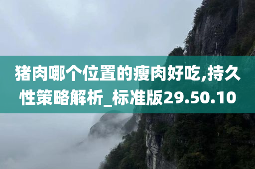 猪肉哪个位置的瘦肉好吃,持久性策略解析_标准版29.50.10