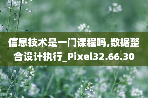 信息技术是一门课程吗,数据整合设计执行_Pixel32.66.30