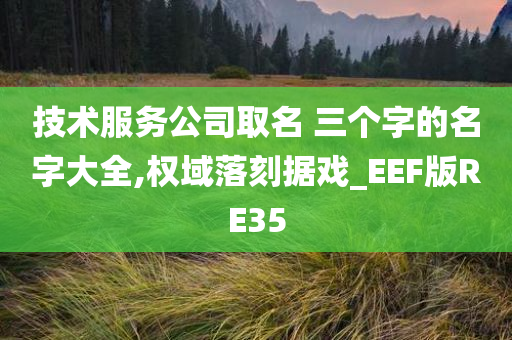 技术服务公司取名 三个字的名字大全,权域落刻据戏_EEF版RE35