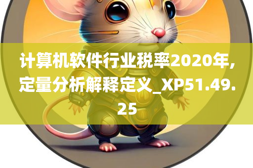 计算机软件行业税率2020年,定量分析解释定义_XP51.49.25