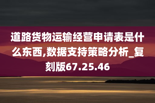 道路货物运输经营申请表是什么东西,数据支持策略分析_复刻版67.25.46