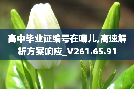 高中毕业证编号在哪儿,高速解析方案响应_V261.65.91