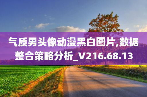 气质男头像动漫黑白图片,数据整合策略分析_V216.68.13