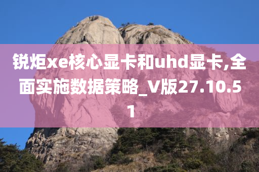 锐炬xe核心显卡和uhd显卡,全面实施数据策略_V版27.10.51