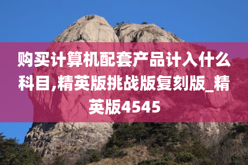 购买计算机配套产品计入什么科目,精英版挑战版复刻版_精英版4545