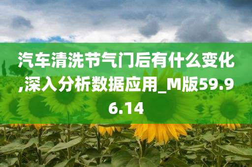 汽车清洗节气门后有什么变化,深入分析数据应用_M版59.96.14