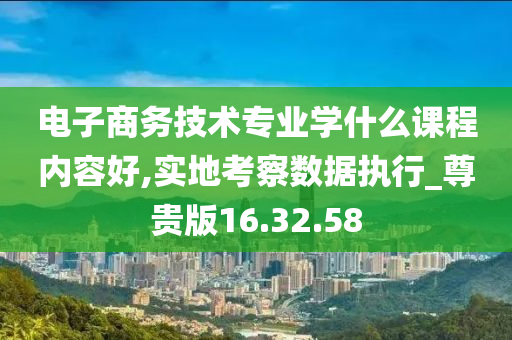 电子商务技术专业学什么课程内容好,实地考察数据执行_尊贵版16.32.58