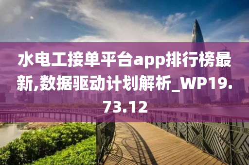 水电工接单平台app排行榜最新,数据驱动计划解析_WP19.73.12