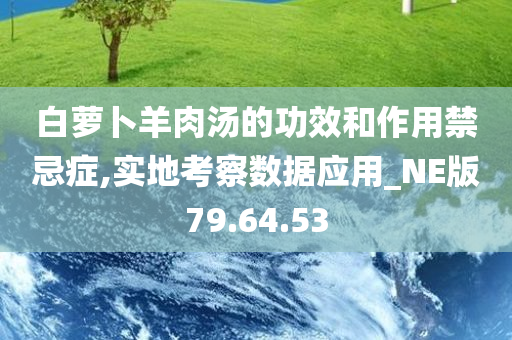 白萝卜羊肉汤的功效和作用禁忌症,实地考察数据应用_NE版79.64.53