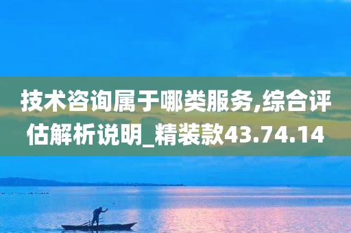 技术咨询属于哪类服务,综合评估解析说明_精装款43.74.14