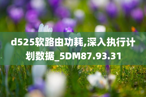 d525软路由功耗,深入执行计划数据_5DM87.93.31