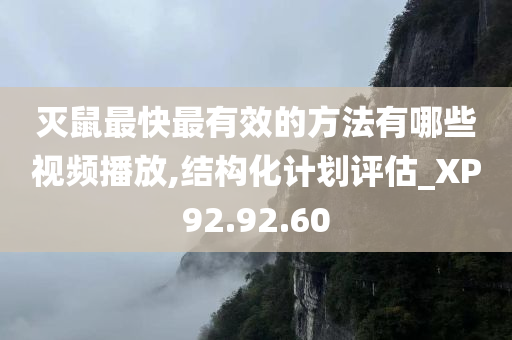 灭鼠最快最有效的方法有哪些视频播放,结构化计划评估_XP92.92.60