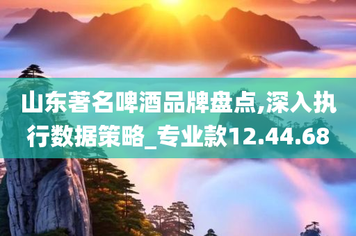 山东著名啤酒品牌盘点,深入执行数据策略_专业款12.44.68