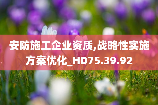 安防施工企业资质,战略性实施方案优化_HD75.39.92