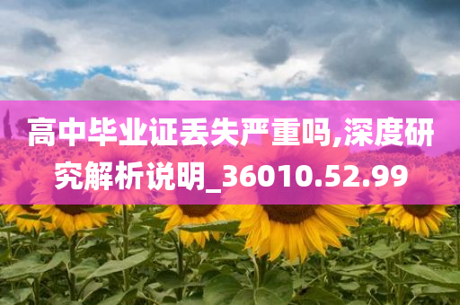 高中毕业证丢失严重吗,深度研究解析说明_36010.52.99